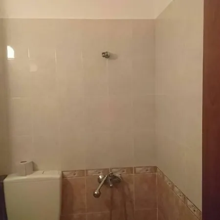 Gasthuis Radenkovi Sveti Vlas